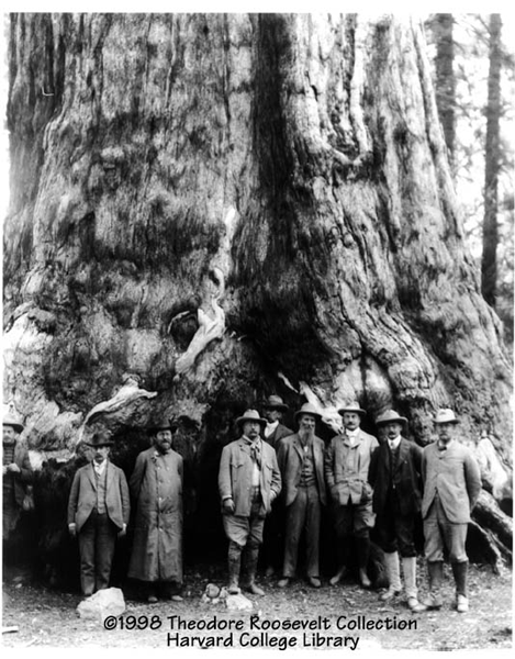 Roosevelt Yosemite 1903